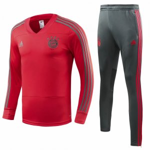 Bayern Munich 2018/19 Red Training Suit (V-Neck Shirt+Trouser)