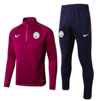 Manchester City 2017/18 Purple Training Suits(High Neck Zipper Shirt+Trouser)