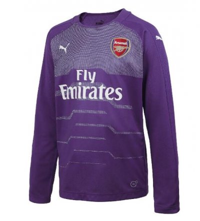 Arsenal 2018/19 Purple Goalkeeper Long Sleeve Shirt Soccer Jersey