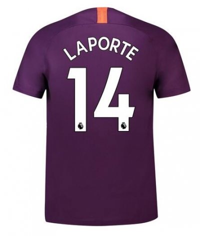 Manchester City 2018/19 Laporte 14 Third Shirt Soccer Jersey