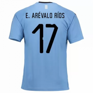 Uruguay 2018 World Cup Home Egidio Arévalo Ríos Shirt Soccer Jersey