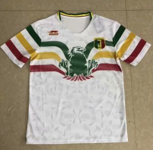 Mali 2019 Africa Cup Away Shirt Soccer Jersey